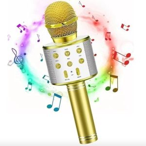 Wireless Karaoke Mic - Handheld & Multifuctional 2 in 1 Microphone with Audio Recording